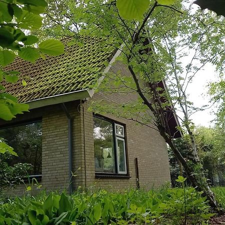 Vechtdalhuisje 17 Ommen Esterno foto