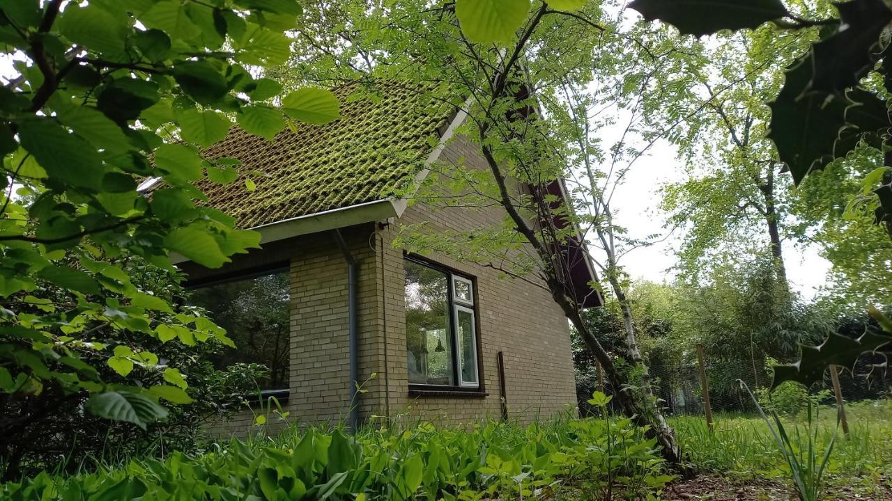 Vechtdalhuisje 17 Ommen Esterno foto